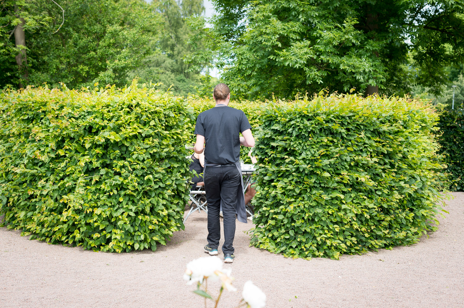 Bilde av hekk og hage, sommerdag