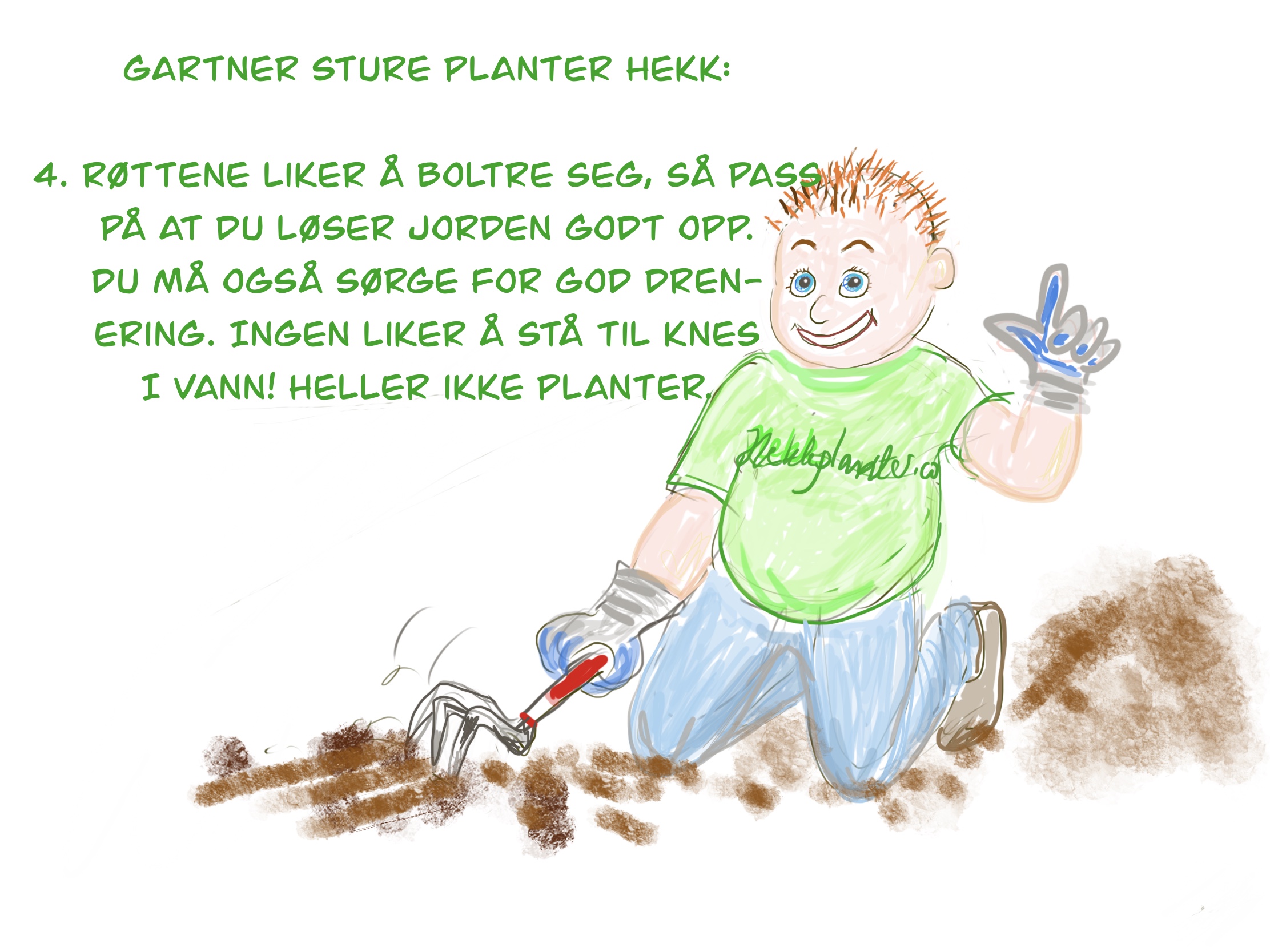 Bilde fra hekkprosjekt Sture, del 4