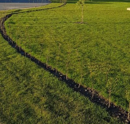 Bilde fra hageprosjekt i Hafslund, frodig og grønn hekk