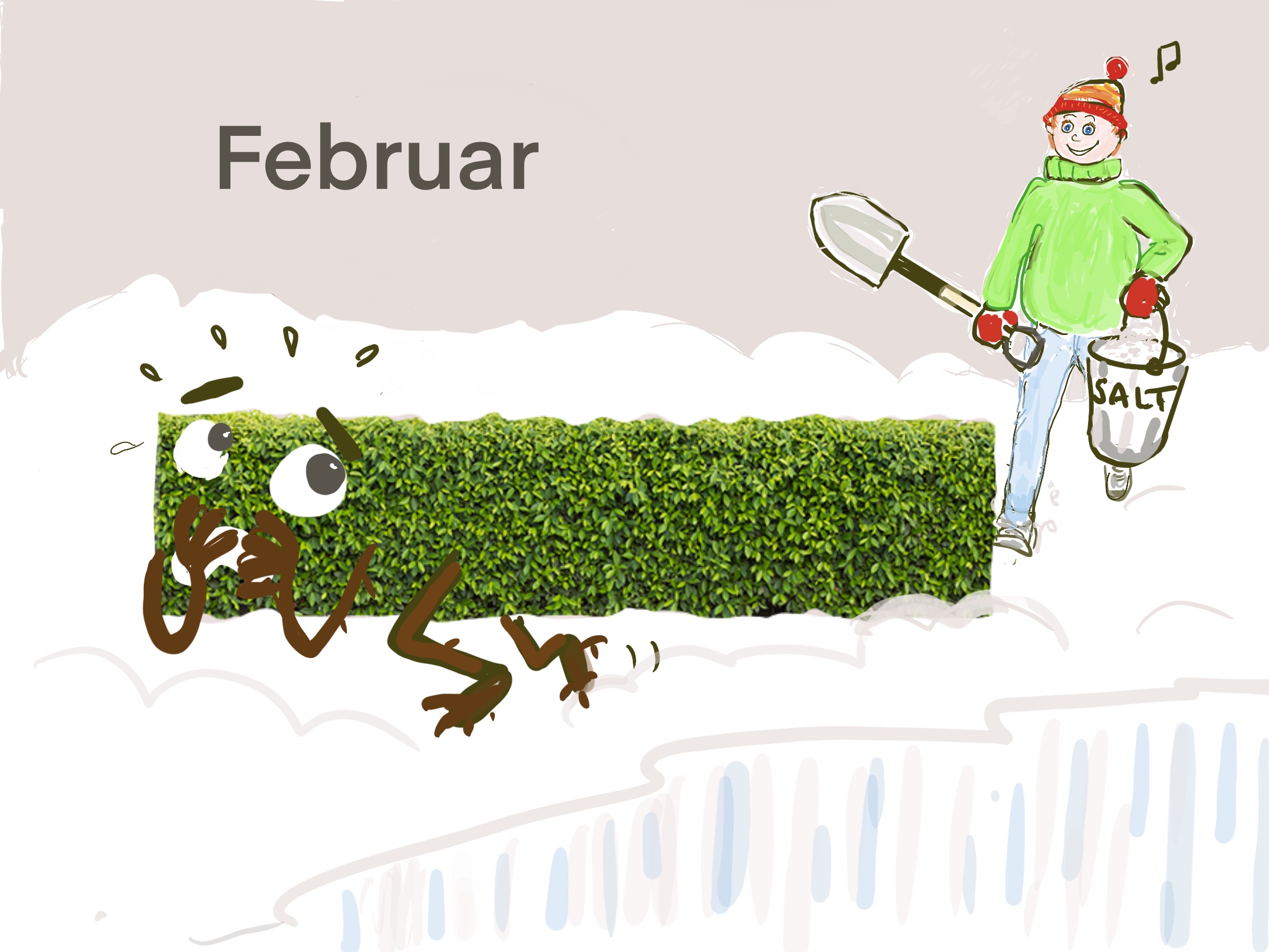 Hagebilde fra februar, vinterstemning