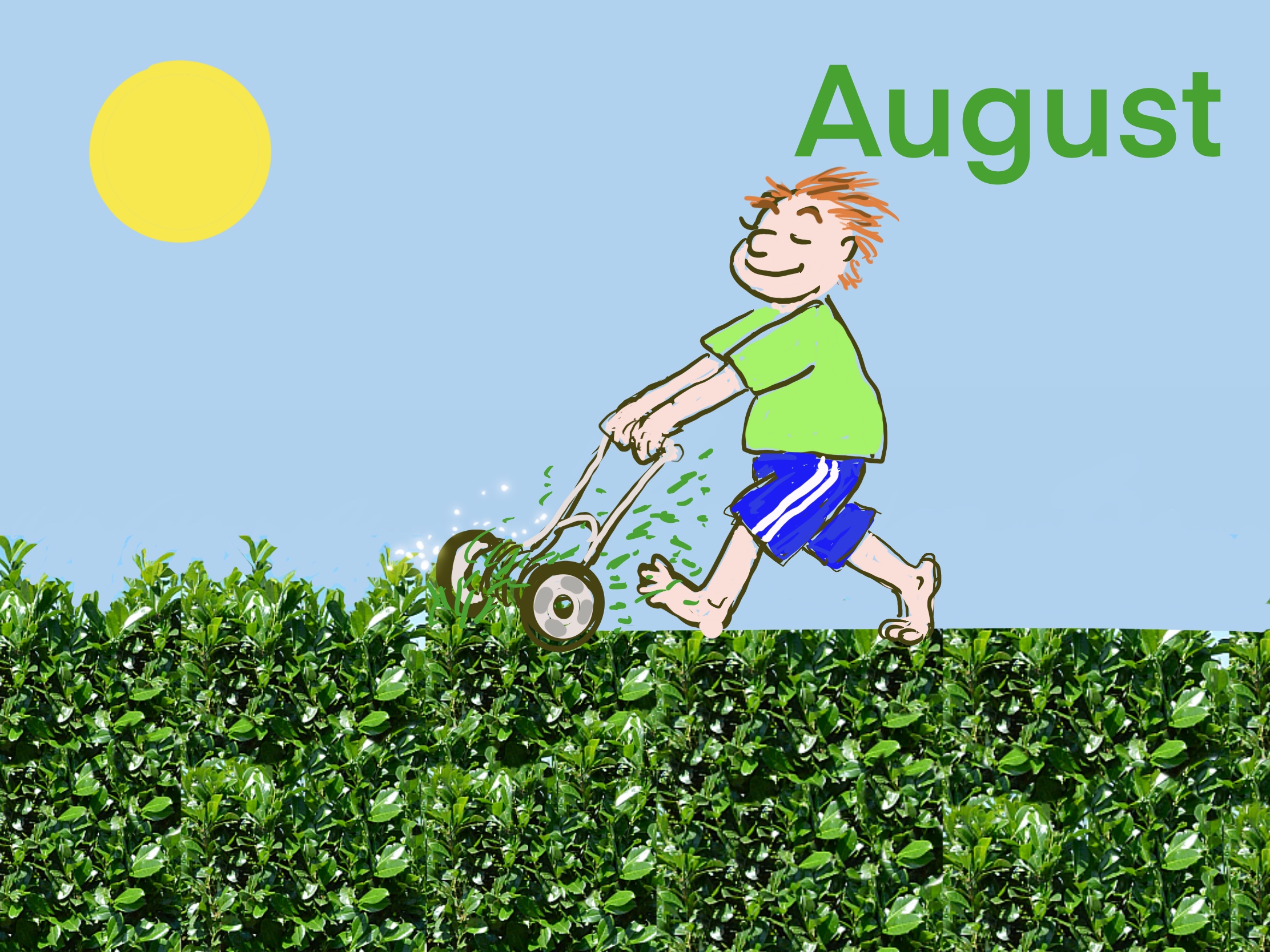 Sensommer i hagen, grønn og frodig