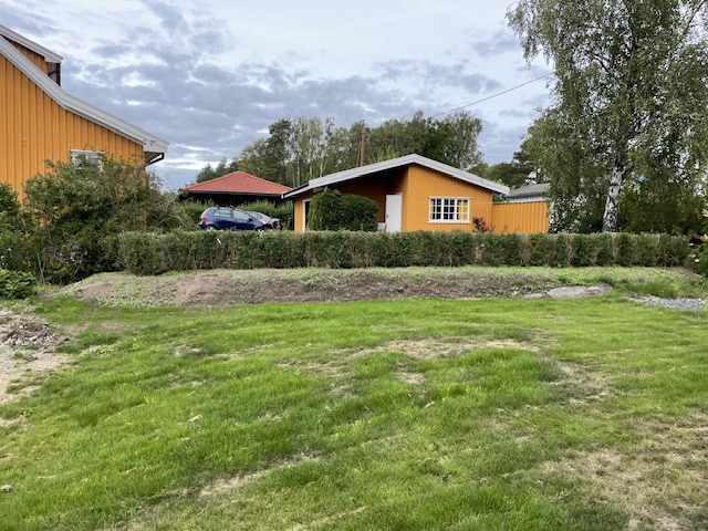 Liguster liga ferdighekk Vestby 1