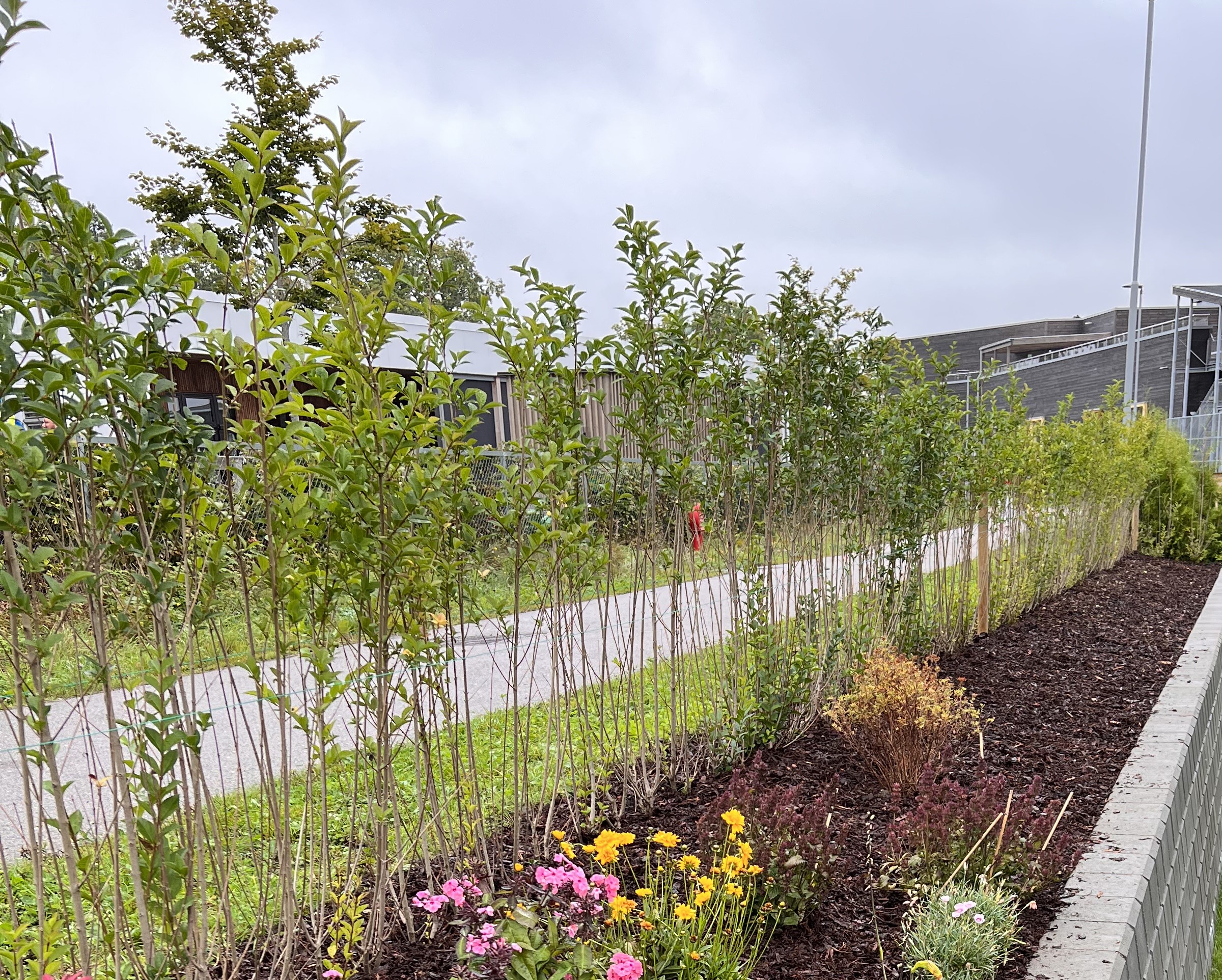 Vinterligster Larvik 1B