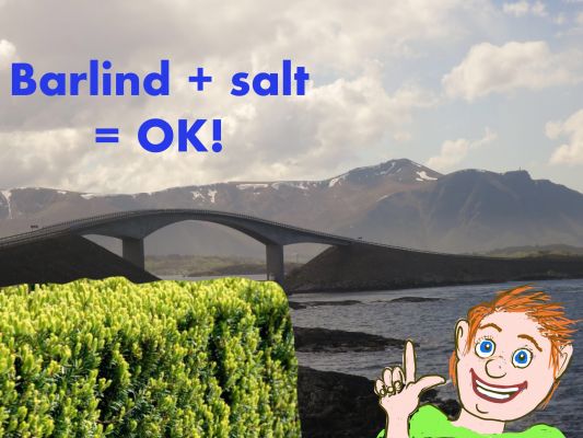 Kundebilde av tett og frodig hekk