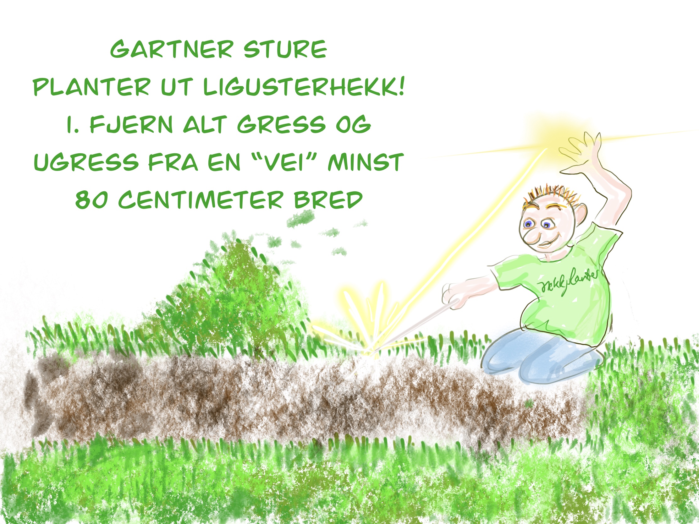 Bilde fra hekkprosjekt Sture, del 2a