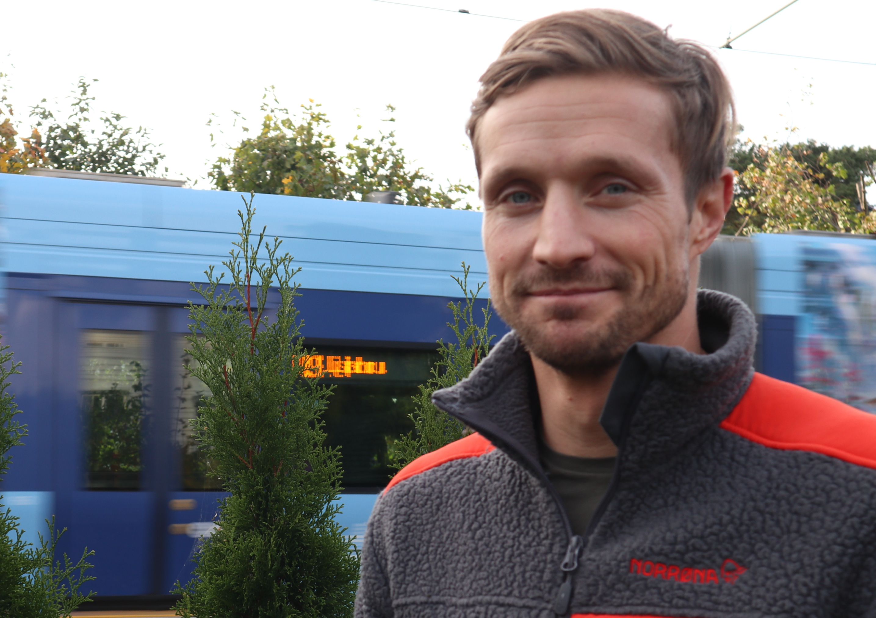 Bilde av hekk og plen, moderne hage