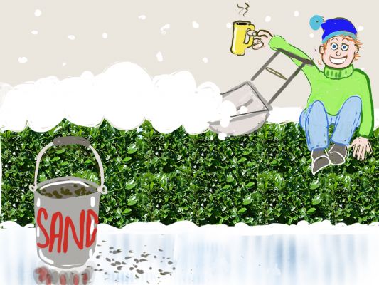 Sture blogger om måker i hagen