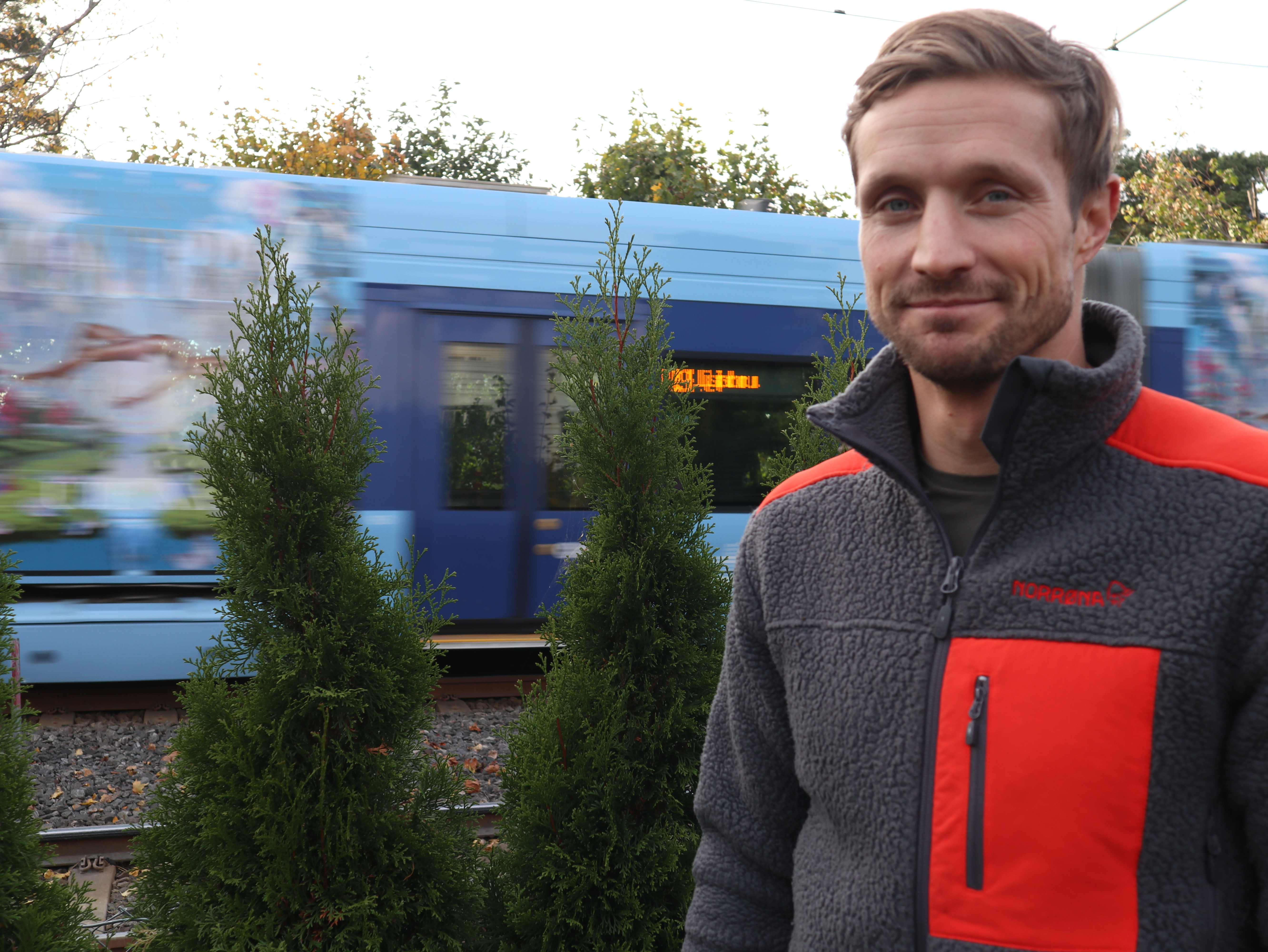 Bilde av hekk og grønn plen, solrik dag