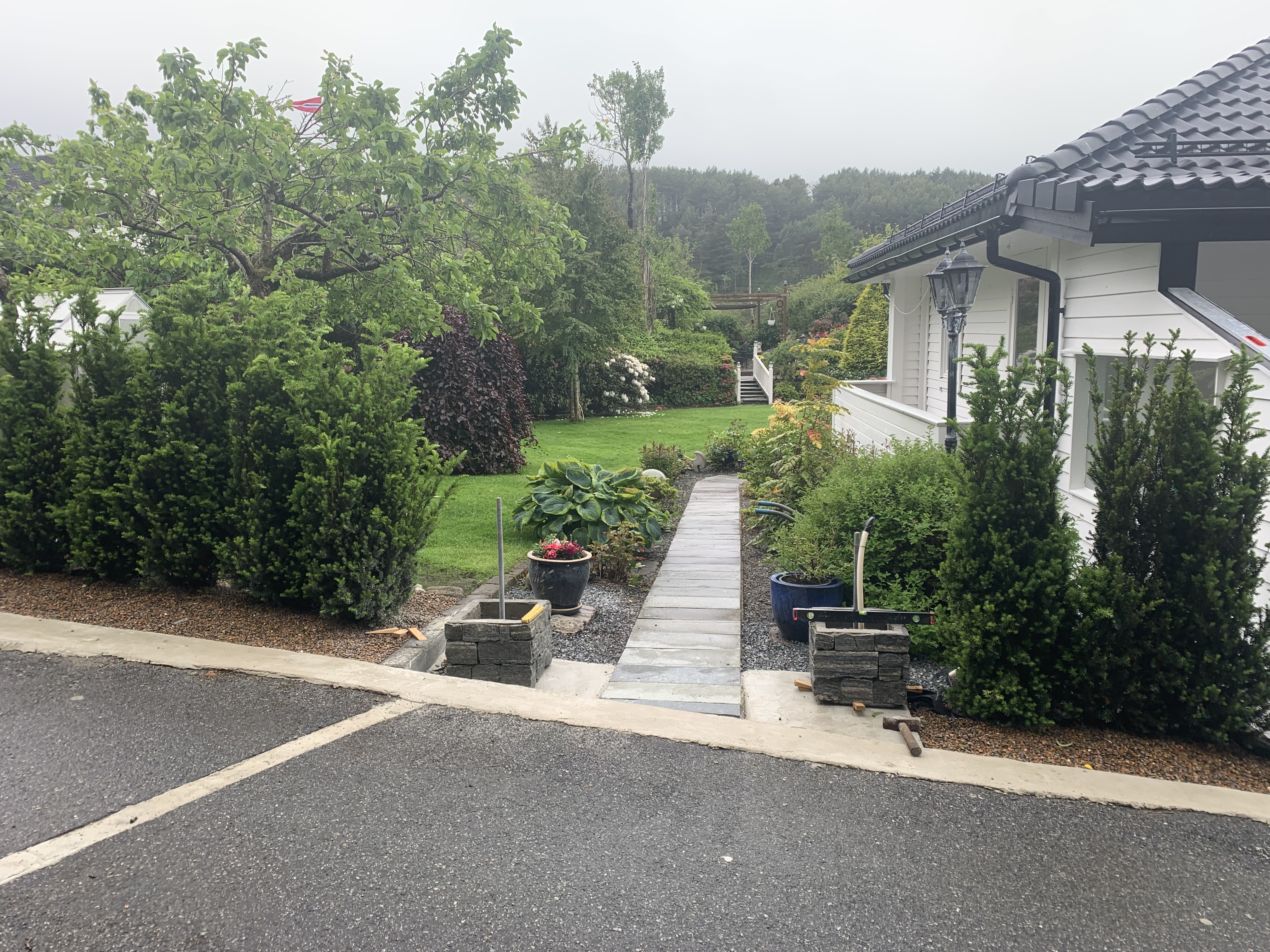 Barlind (Taxus hillii) hekk plantet hos kunde i ågotnes