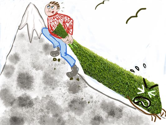 Sture gir råd om hekk som ikke vokser