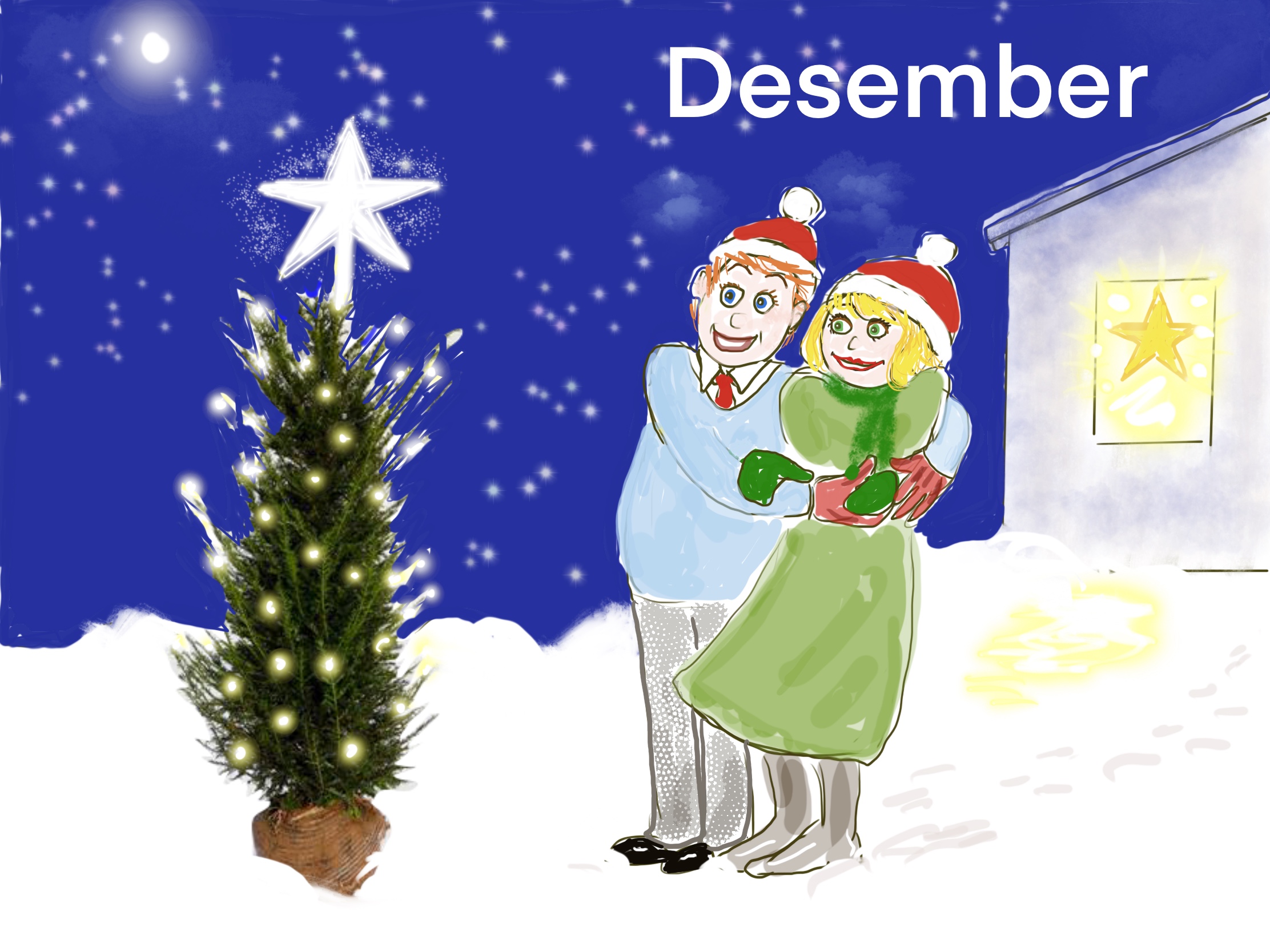 Vinterhage i desember, snø og ro