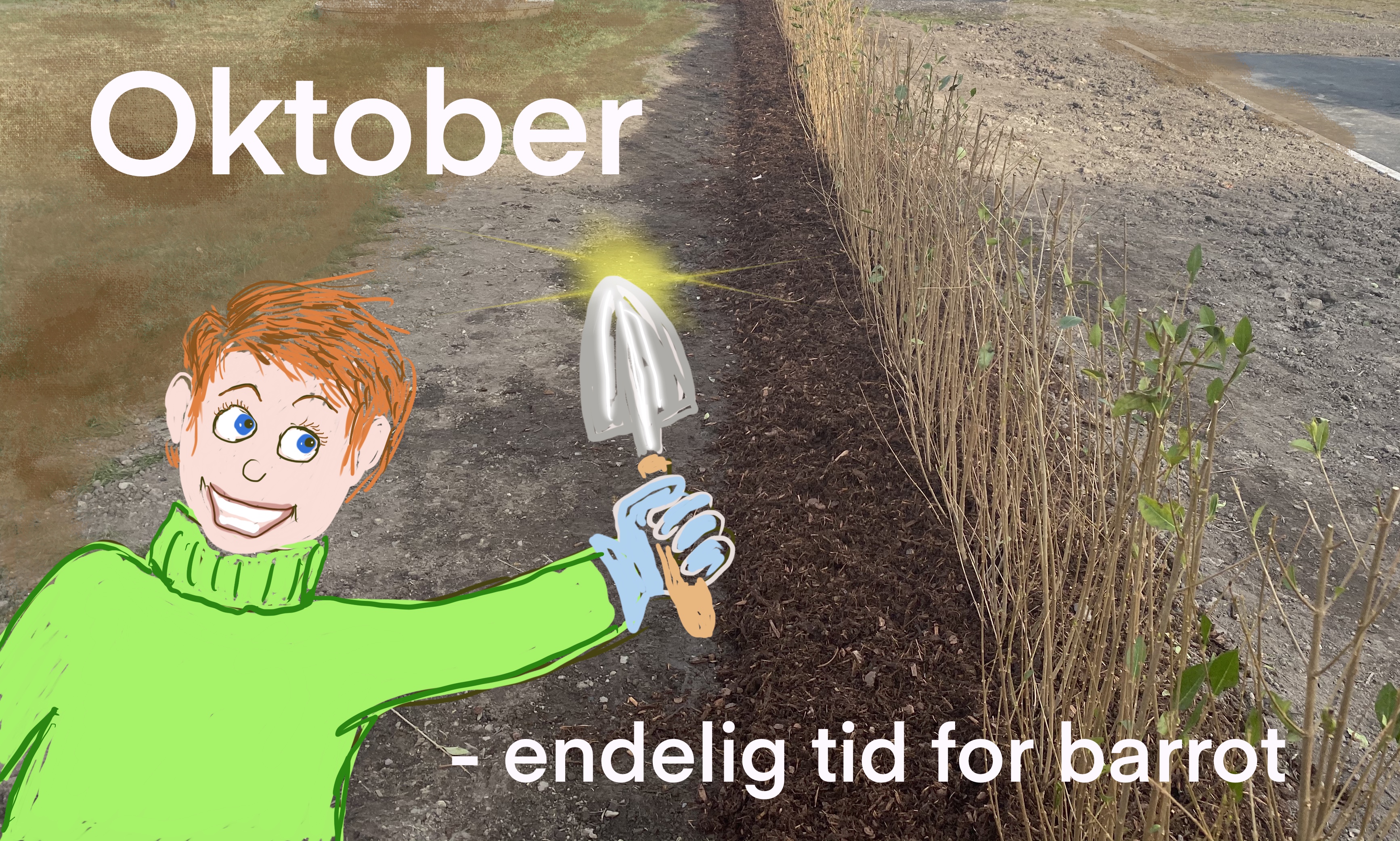 Oktoberhage med fargerike blader og klar luft