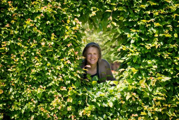 Guide for valg av hekkplanter, illustrasjon