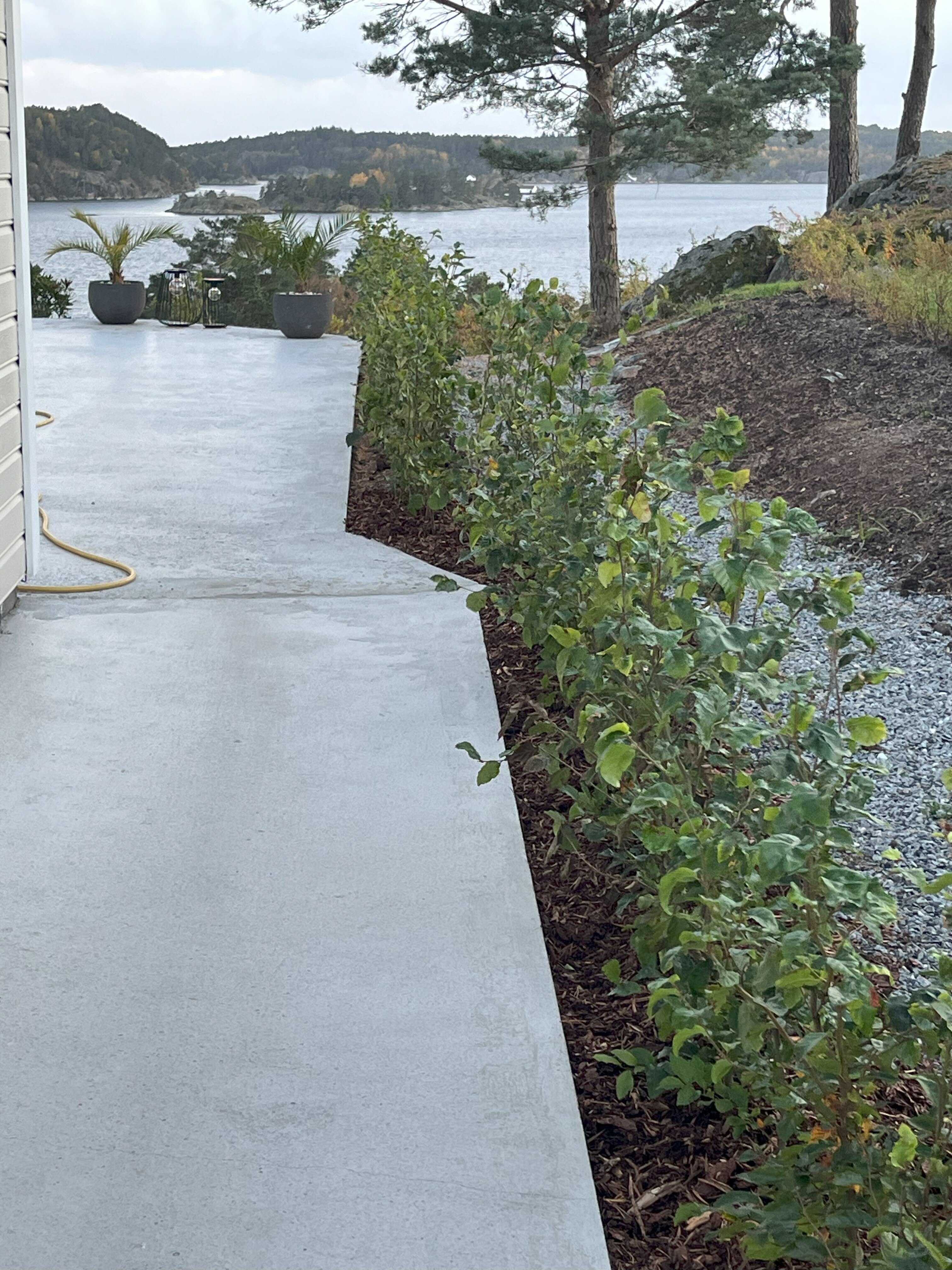 Bøk potte Lillesand september 2024