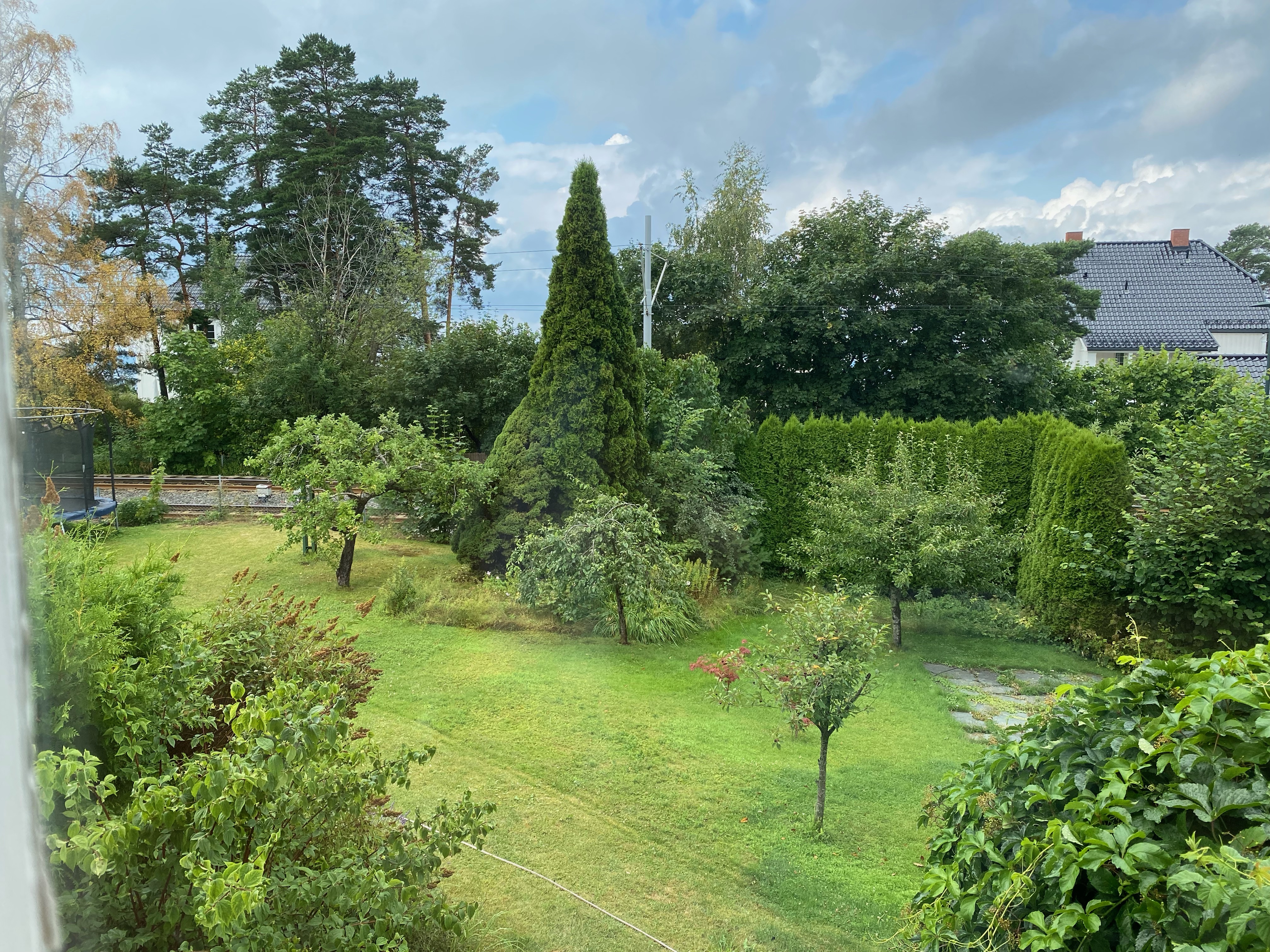 Illustrasjonsbilde med hekk eller plante