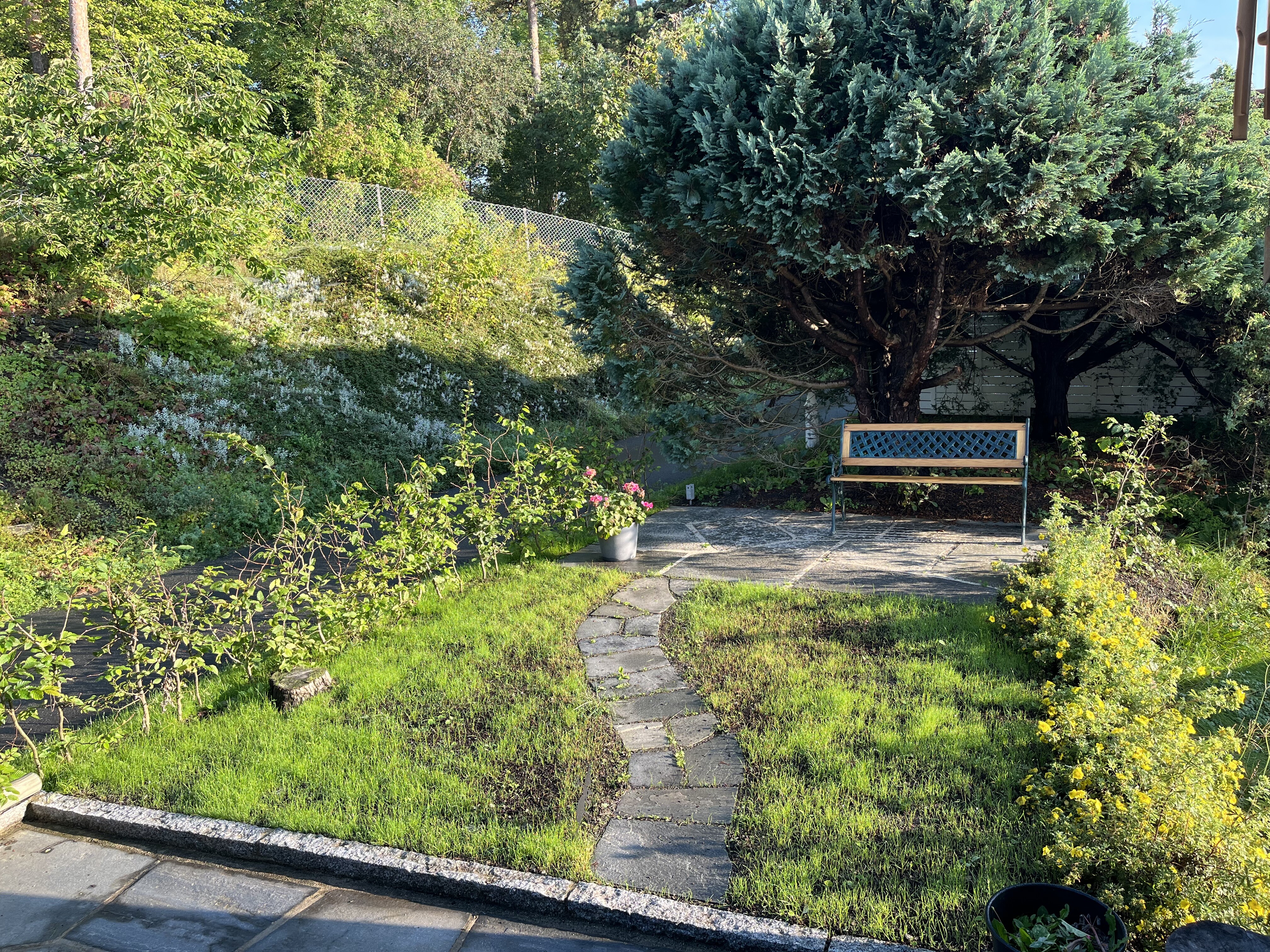 Agnbøk barrot Oslo august 2024