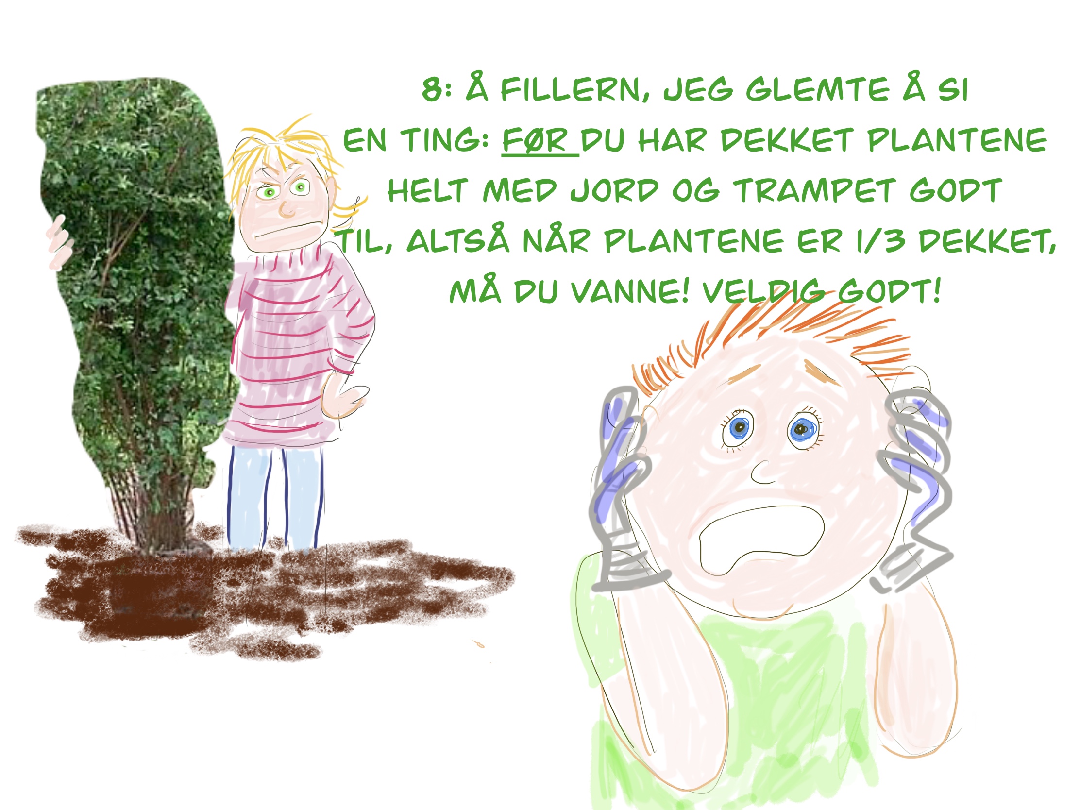 Bilde fra hekkprosjekt Sture, del 8