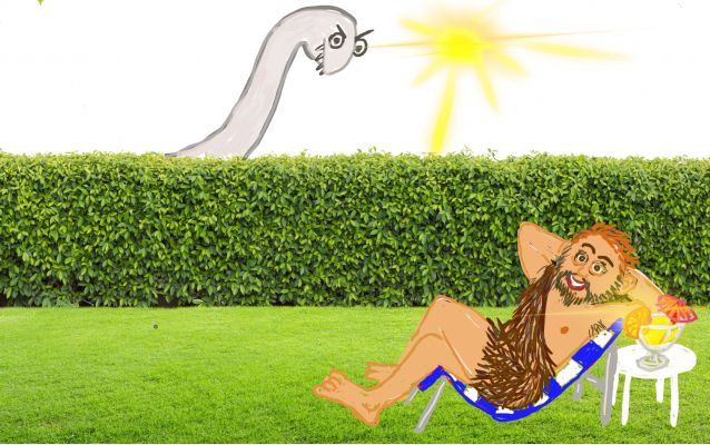 Sture gir råd om skadedyr i hekk